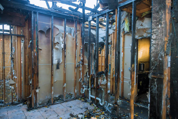 Professional Fire Damage Removal technician working in Golden Meadow, LA